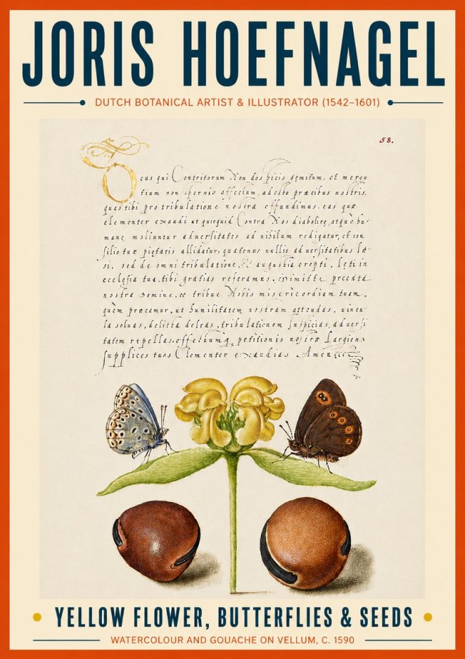 Joris Hoefnagel Yellow Flower, Butterflies & Seeds No6 - Plakat