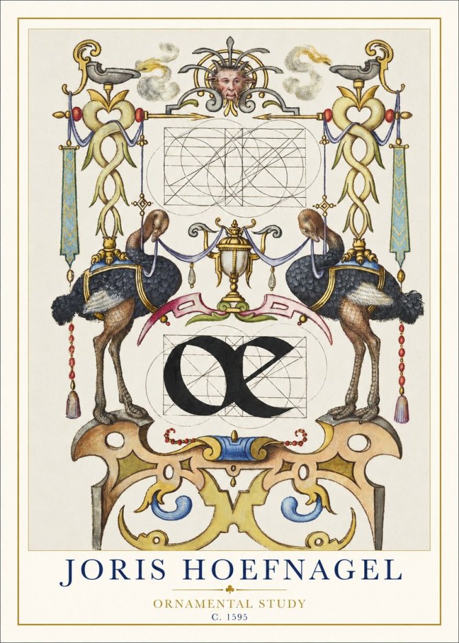 Joris Hoefnagel Ornamental Study I No1 - Plakat