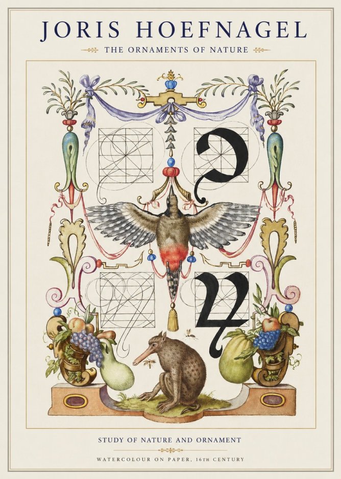 Joris Hoefnagel Study of Nature and Ornament No1 - Plakat