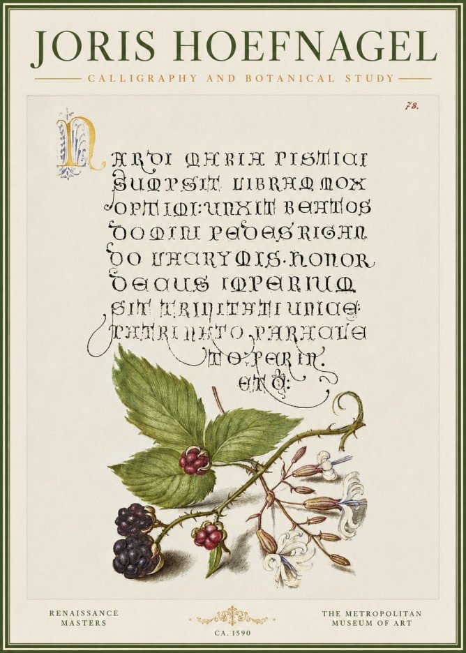 Joris Hoefnagel Calligraphy and Botanical Study II No3 - Plakat