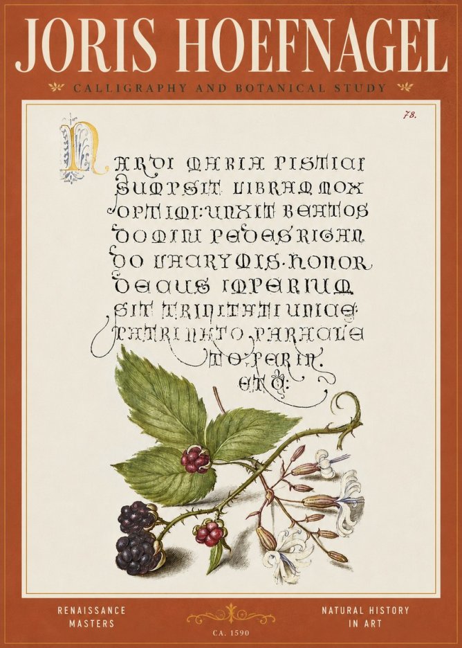 Joris Hoefnagel Calligraphy and Botanical Study II No4 - Plakat