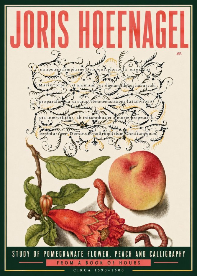 Joris Hoefnagel Study of Pomegranate Flower, Peach and Calligraphy from a Book of Hours No6 - Plakat