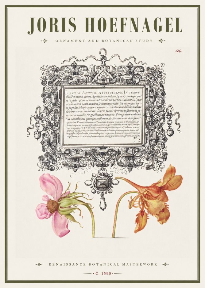Joris Hoefnagel Ornament and Botanical Study No1 - Plakat