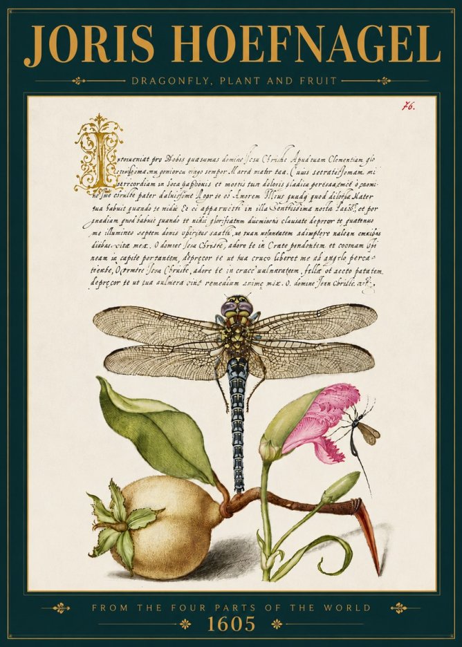 Joris Hoefnagel Dragonfly, Plant and Fruit No5 - Plakat