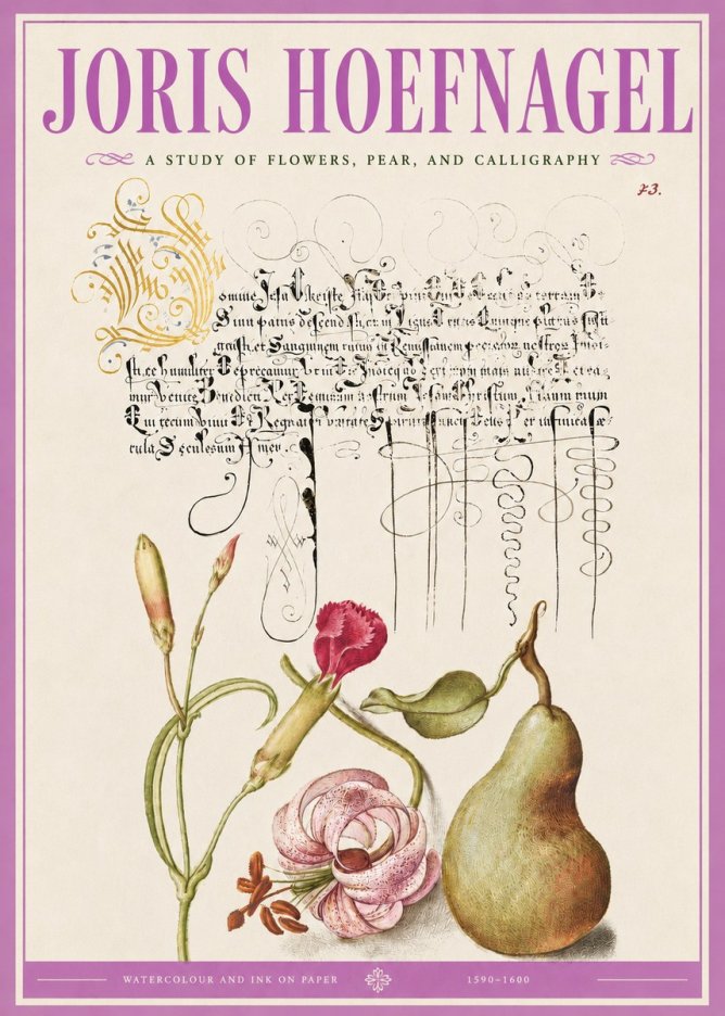 Joris Hoefnagel Botanical Study with Calligraphy II No5 - Plakat