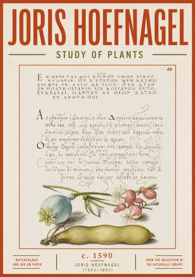 Joris Hoefnagel Study of Plants I No5 - Plakat