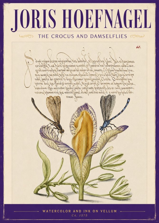 Joris Hoefnagel The Crocus and Damselflies No2 - Plakat