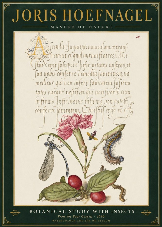 Joris Hoefnagel Botanical Study with Insects No3 - Plakat
