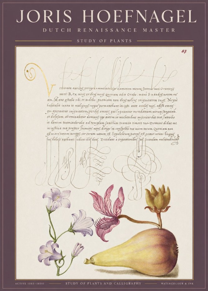 Joris Hoefnagel Study of Plants II No1 - Plakat