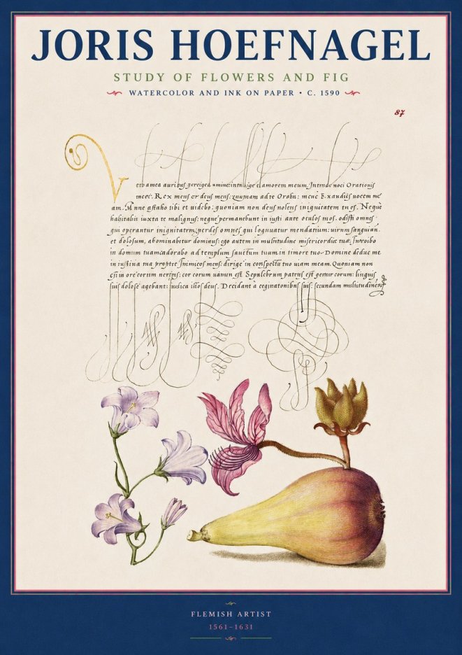Joris Hoefnagel Study of Plants II No3 - Plakat