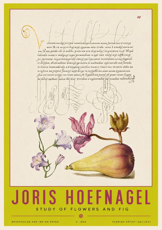 Joris Hoefnagel Study of Plants II No4 - Plakat