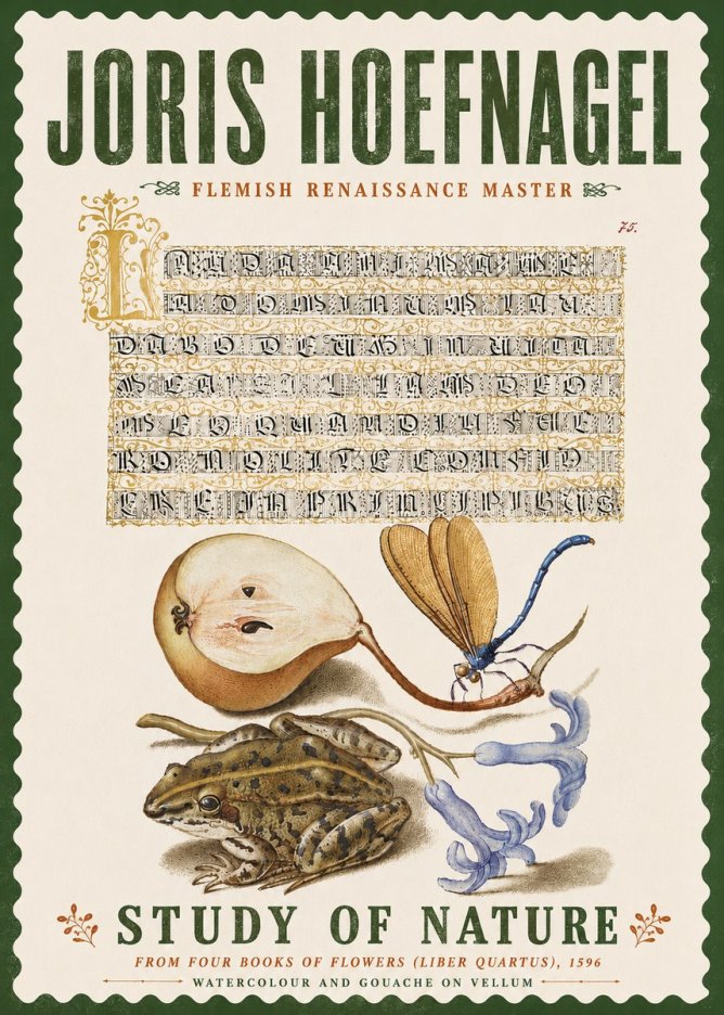 Joris Hoefnagel Study of Nature II No6 - Plakat