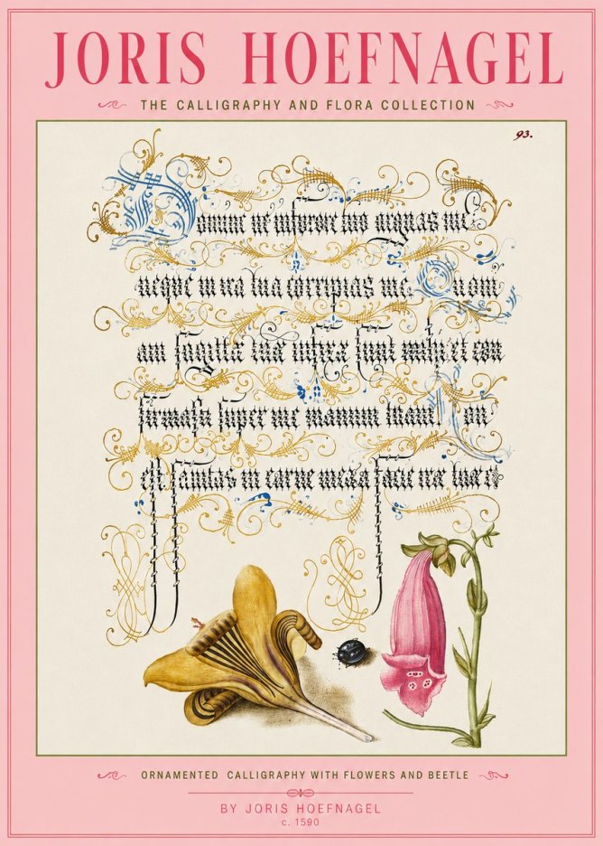 Joris Hoefnagel Ornamented Calligraphy with Flowers and Beetle No3 - Plakat