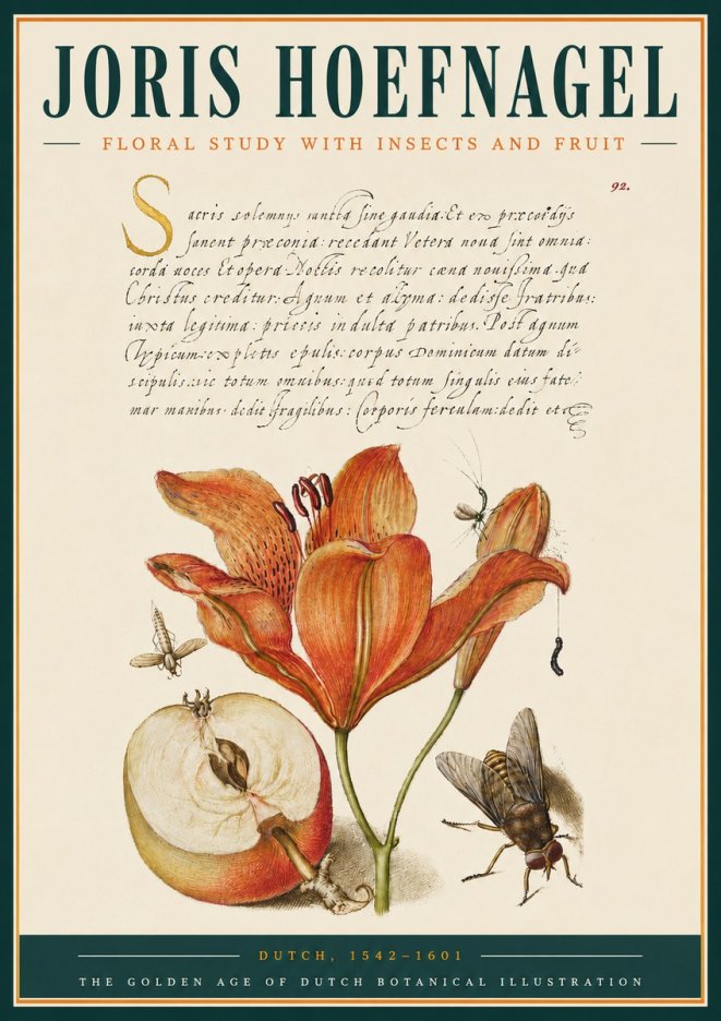 Joris Hoefnagel Floral Study with Insects and Fruit No3 - Plakat