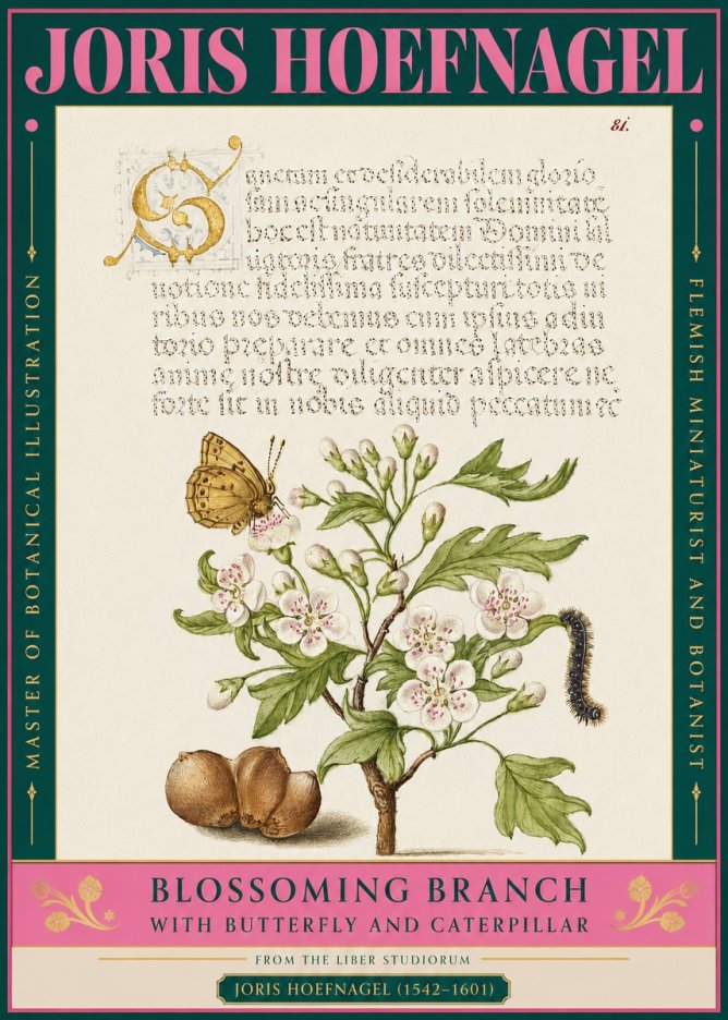 Joris Hoefnagel Blossoming Branch No3 - Plakat