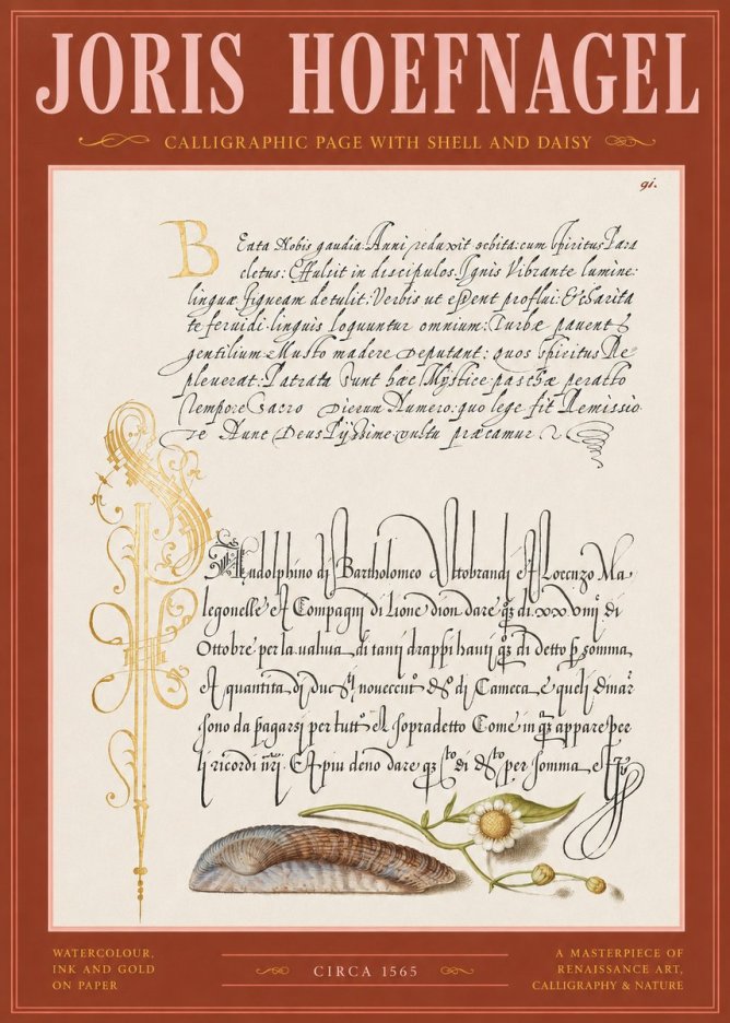 Joris Hoefnagel Calligraphic Page with Shell and Daisy No2 - Plakat