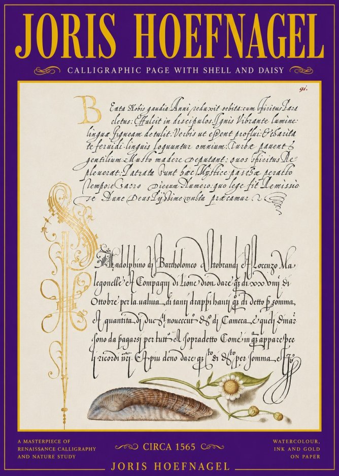 Joris Hoefnagel Calligraphic Page with Shell and Daisy No3 - Plakat
