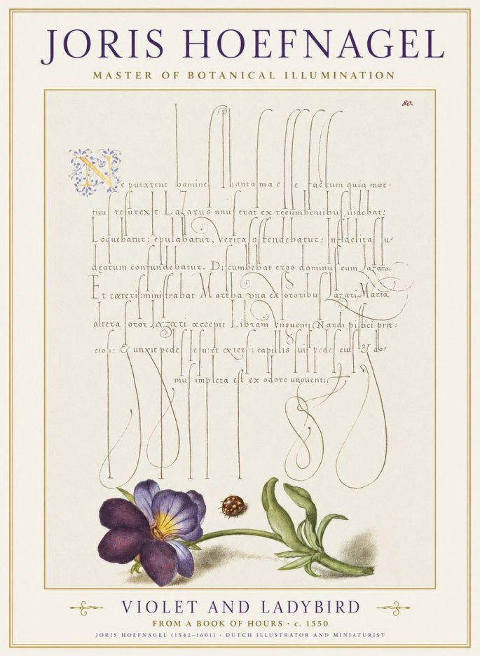 Joris Hoefnagel Violet and Ladybird No1 - Plakat
