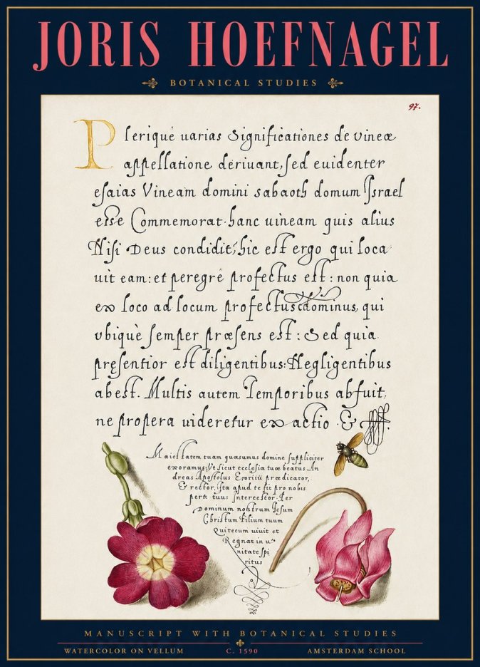 Joris Hoefnagel Manuscript with Botanical Studies No3 - Plakat