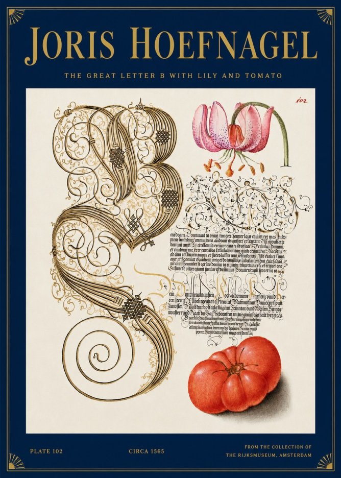 Joris Hoefnagel The Great Letter B with Lily and Tomato No3 - Plakat