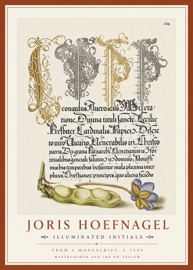 Joris Hoefnagel Illuminated Initials with Peapod and Flower No4 - Plakat