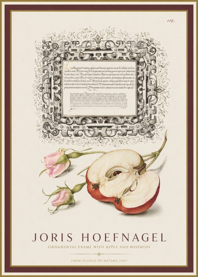Joris Hoefnagel Illuminated Calligraphy and Botanical Study No2 - Plakat