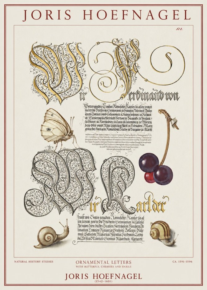Joris Hoefnagel Ornamental Letters with Butterfly, Cherries and Snails No1 - Plakat