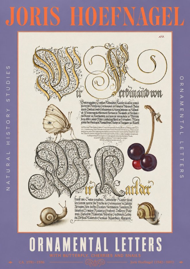 Joris Hoefnagel Ornamental Letters with Butterfly, Cherries and Snails No3 - Plakat