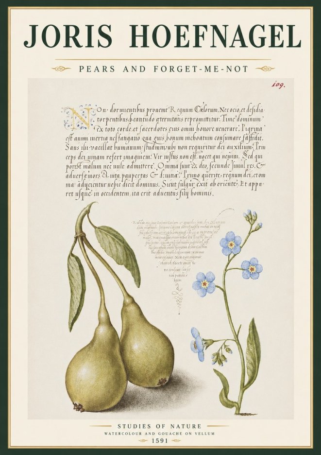 Joris Hoefnagel Pears and Forget-me-not No4 - Plakat