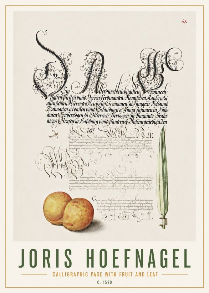 Joris Hoefnagel Calligraphic Page with Fruit and Leaf No4 - Plakat