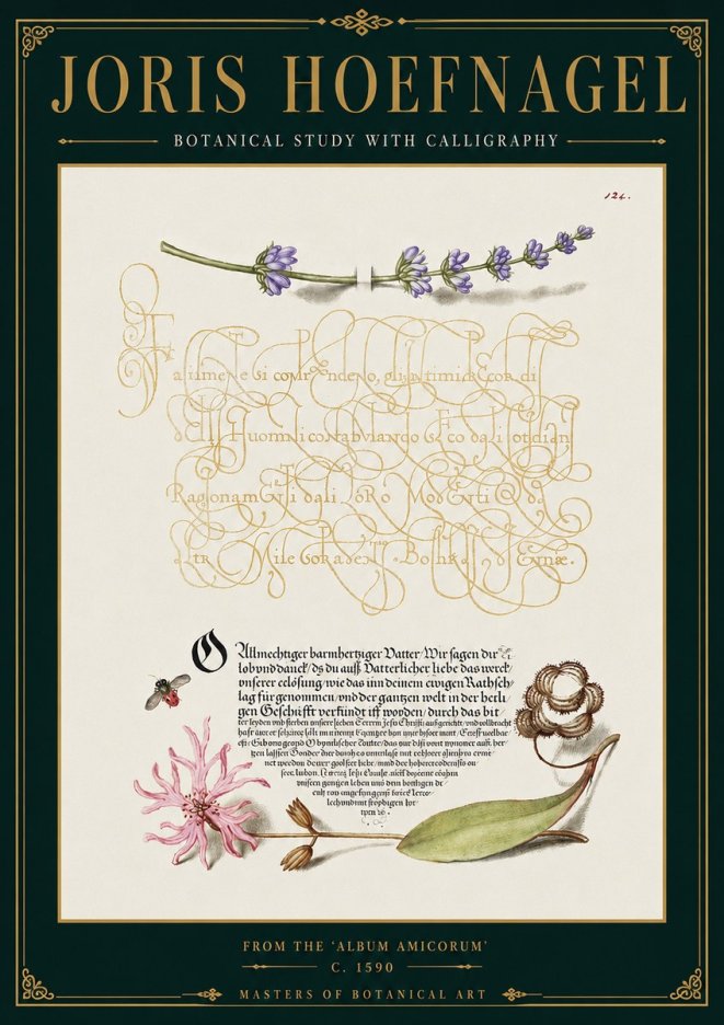 Joris Hoefnagel Botanical Study with Calligraphy IV No4 - Plakat