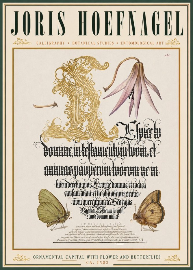 Joris Hoefnagel Ornamental Capital with Flower and Butterflies No3 - Plakat
