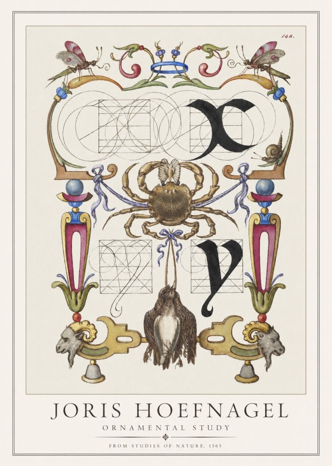 Joris Hoefnagel Ornamental Study II No1 - Plakat