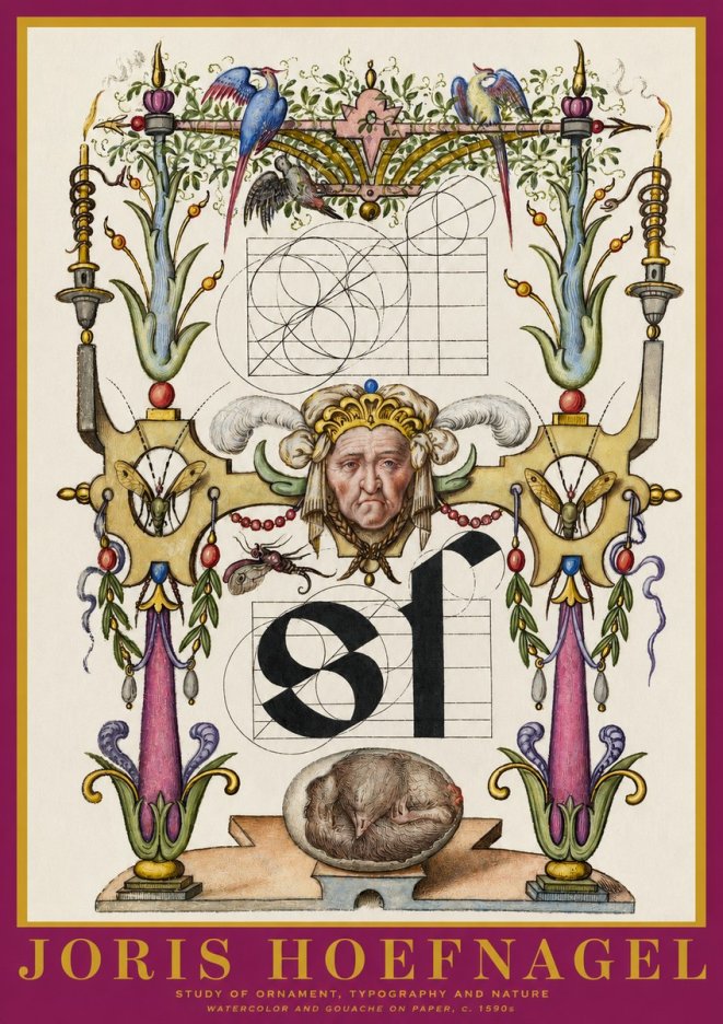 Joris Hoefnagel Mastery in Detail - Renaissance Ornament & Nature Studies No6 - Plakat