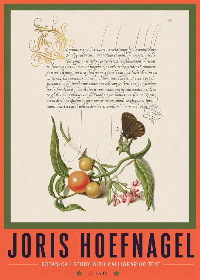Joris Hoefnagel Botanical Study with Calligraphic Text No2 - Plakat