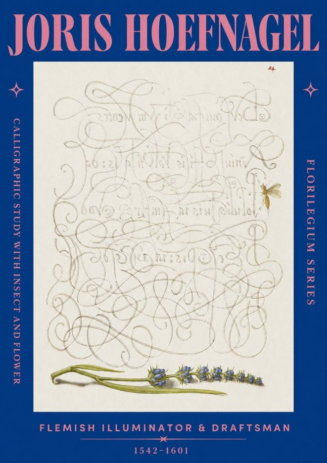 Joris Hoefnagel Calligraphic Study with Insect and Flower No2 - Plakat