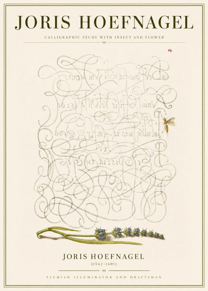 Joris Hoefnagel Calligraphic Study with Insect and Flower No3 - Plakat