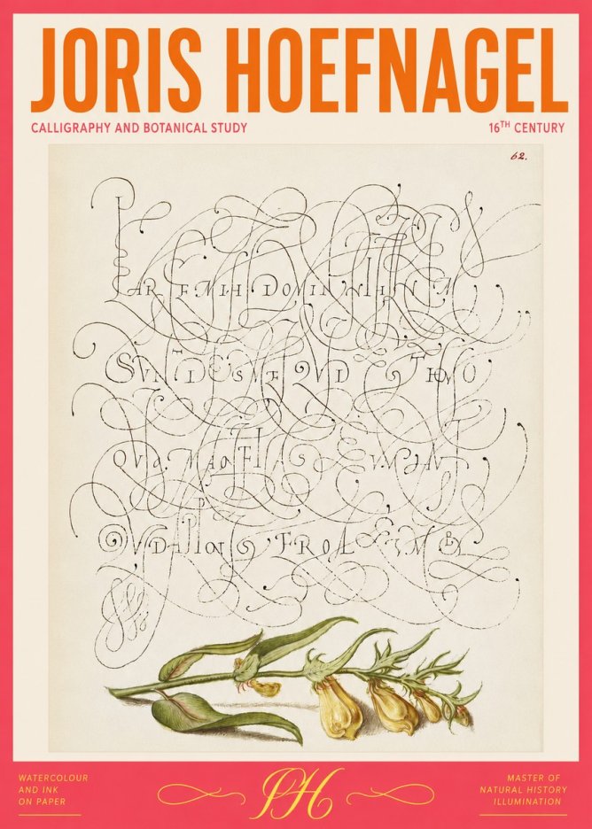 Joris Hoefnagel Calligraphic Practice with Botanical Study No2 - Plakat