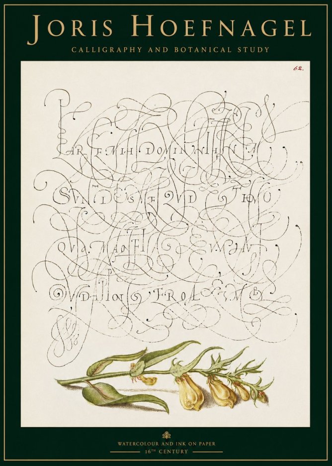 Joris Hoefnagel Calligraphic Practice with Botanical Study No3 - Plakat