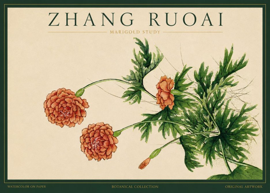 Zhang Ruoai Marigold Study No3 - Plakat