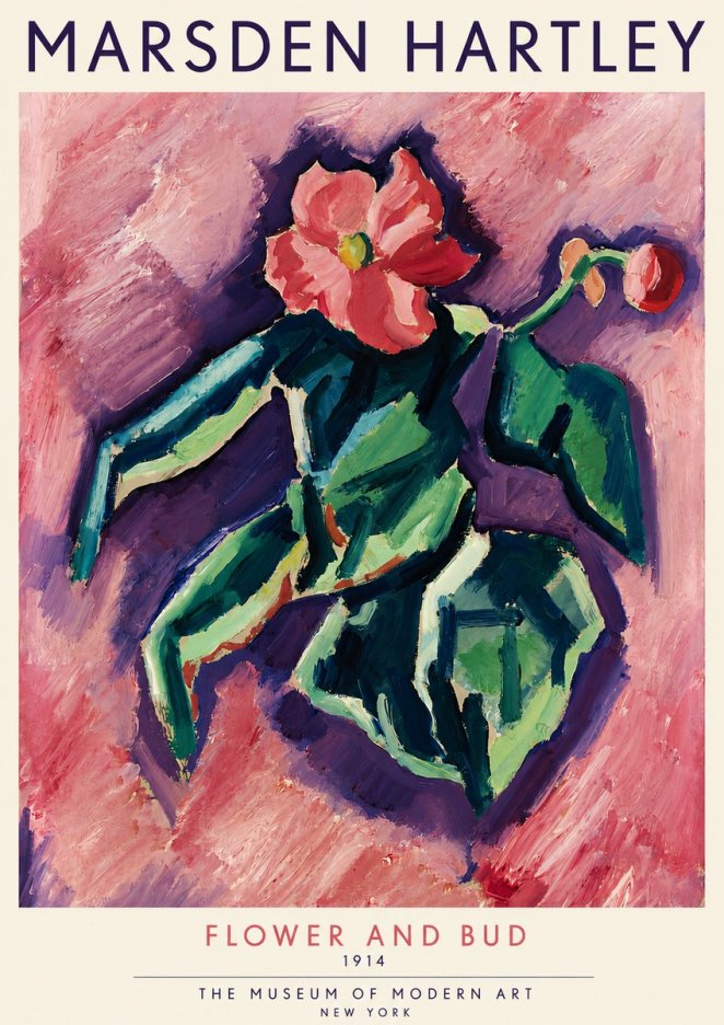 Marsden Hartley Flower and Bud No4 - Plakat