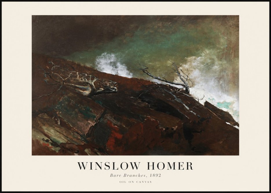 Winslow Homer Bare Branches, 1892 No1 - Plakat