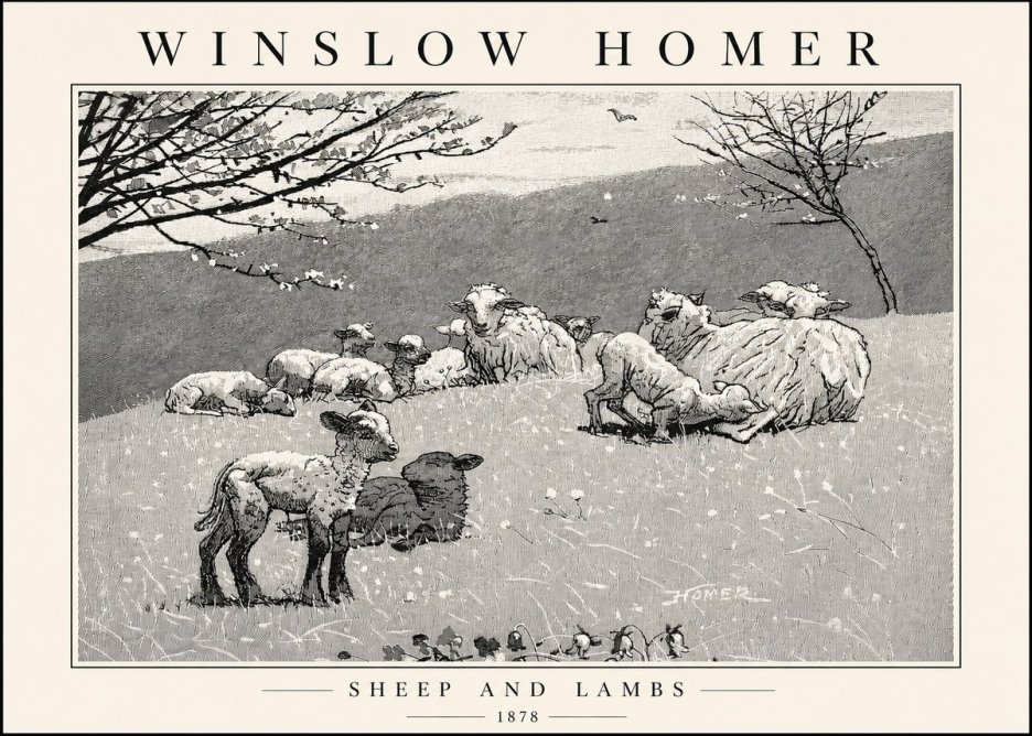 Winslow Homer Sheep and Lambs No4 - Plakat