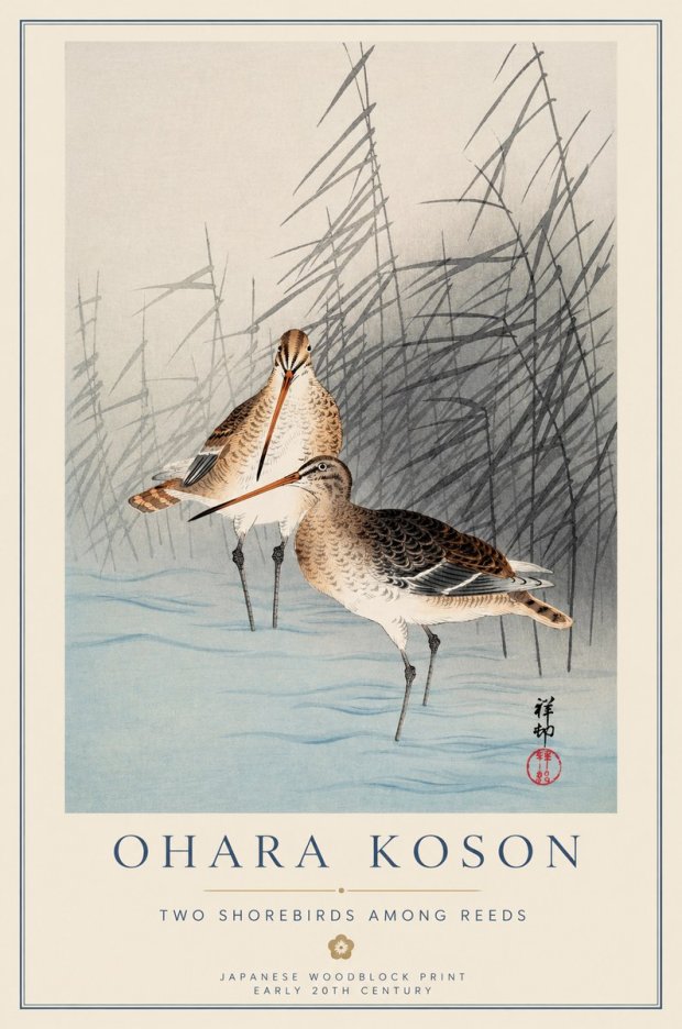 Ohara Koson Snipe in the Reeds No2 - Plakat