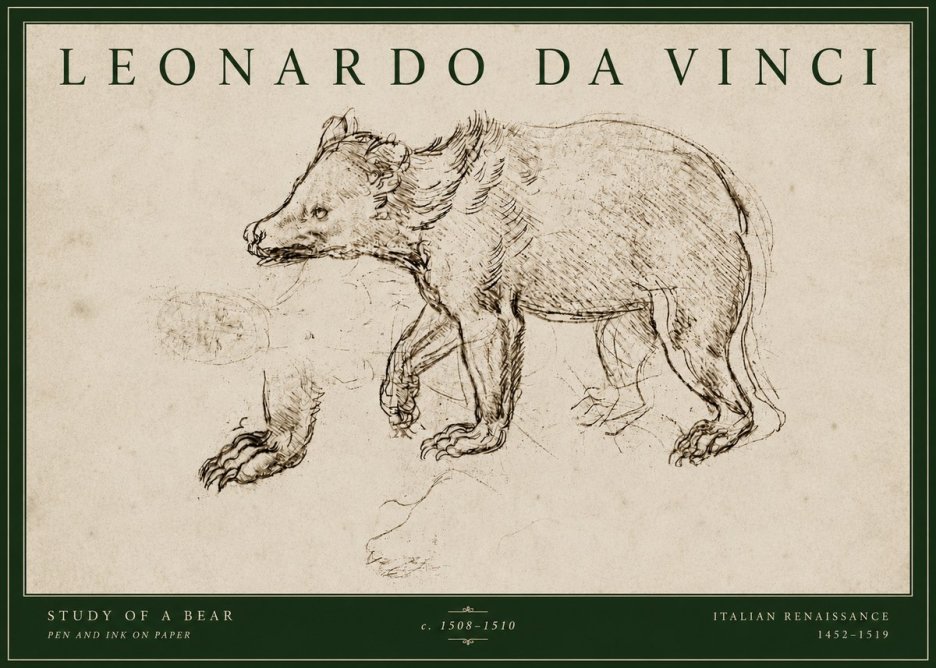 Leonardo da Vinci Study of a Bear No4 - Plakat