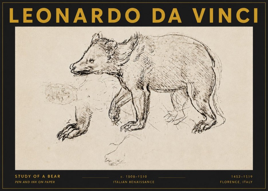 Leonardo da Vinci Study of a Bear No5 - Plakat