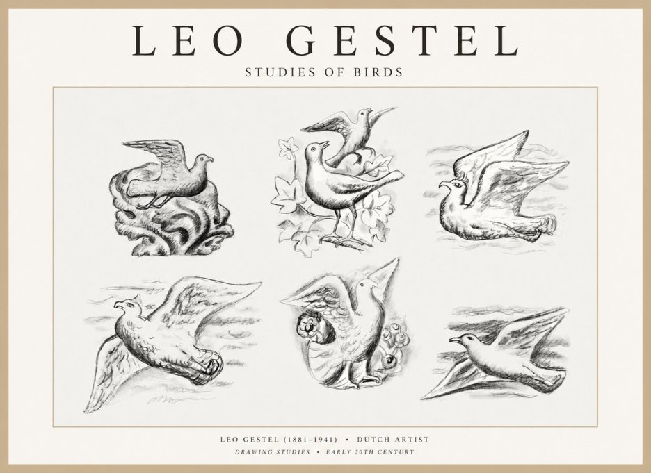 Leo Gestel Studies of Birds No1 - Plakat