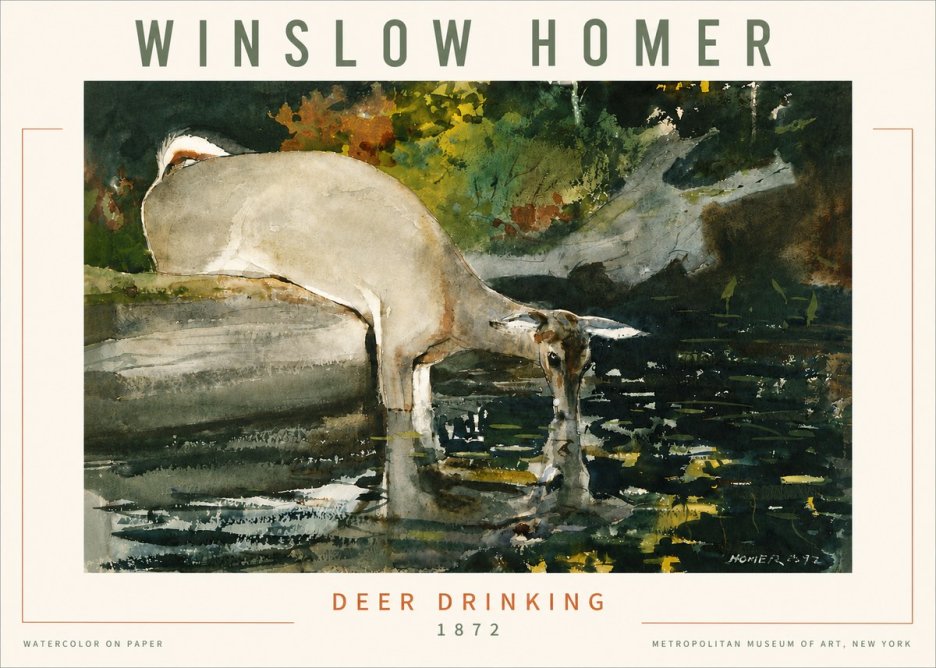 Winslow Homer Deer Drinking No4 - Plakat