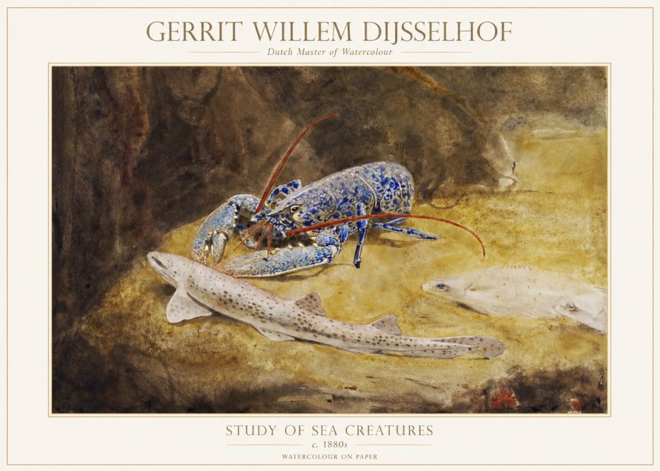 Gerrit Willem Dijsselhof Study of Sea Creatures No1 - Plakat