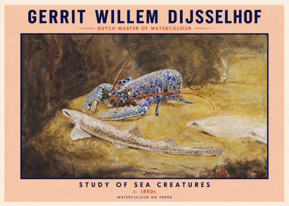 Gerrit Willem Dijsselhof Study of Sea Creatures No2 - Plakat